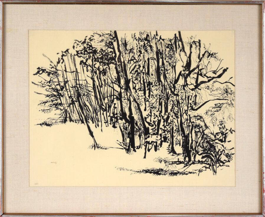 Forest Landscape in Sumi Ink on Paper