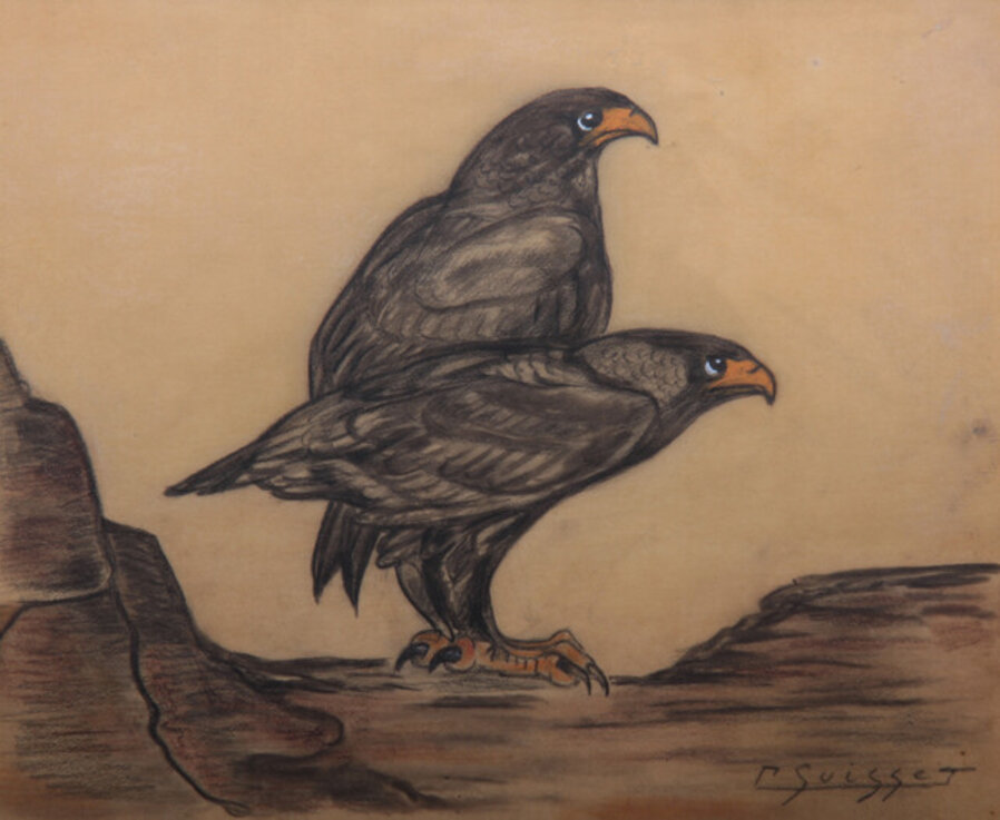 Bateleur eagle