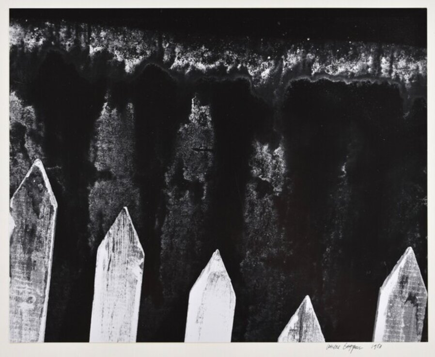 Picket Fence