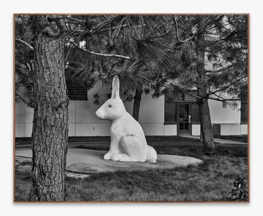 Newport Beach Public Library, #17