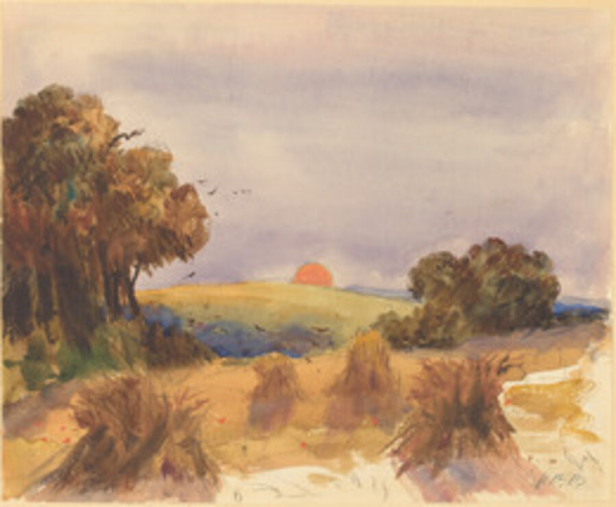 A Cornfield at Sunset