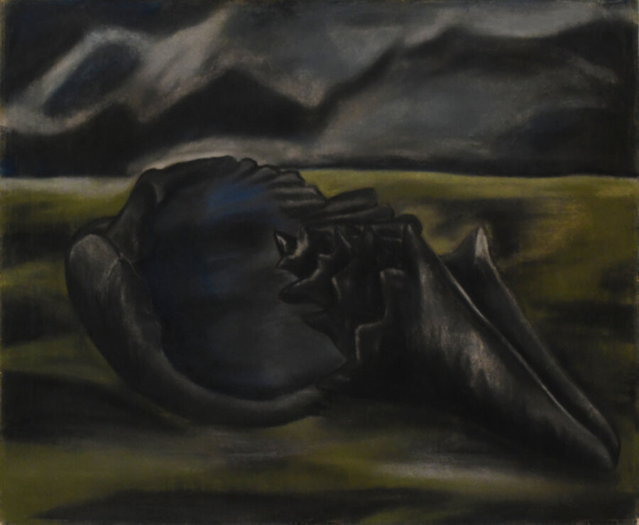 Shell In Landscape
