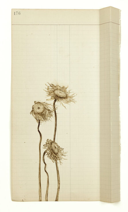 Kathy Moss, ‘Chrysanthemums’, 2023