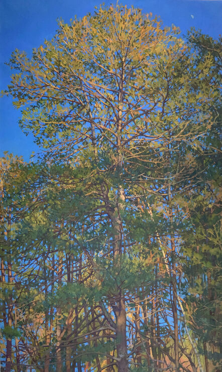 Richard Raiselis, ‘Half-moon Pine’, 2022