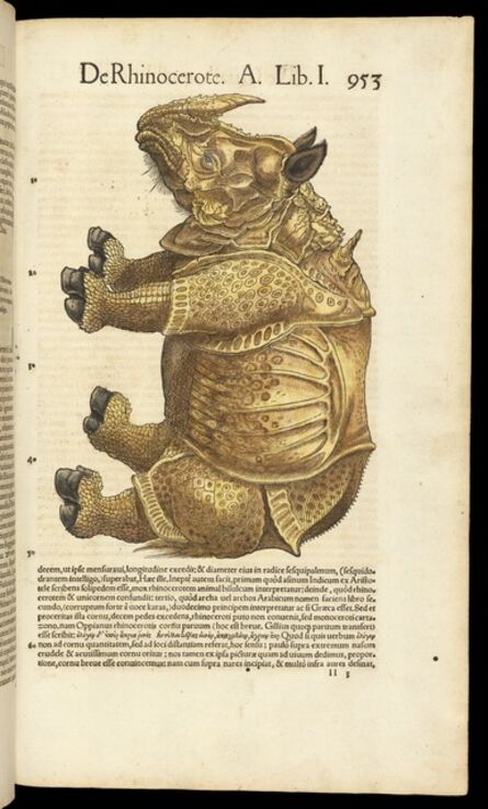 Conrad Gessner, ‘De rhinocerote’, 1551