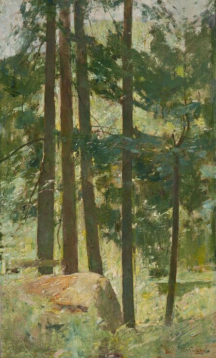 Emil Carlsen, ‘White Pine’, 1926
