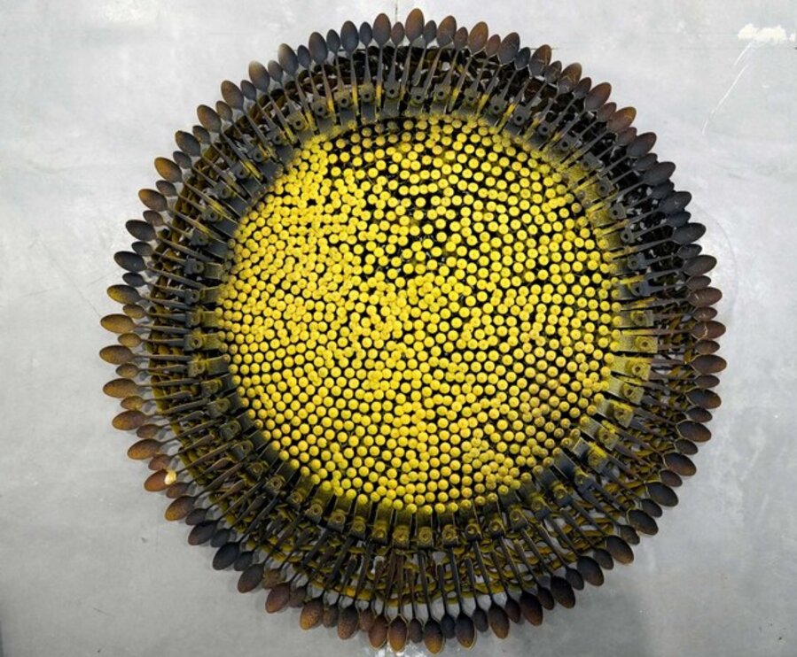 Medium Sunflower I