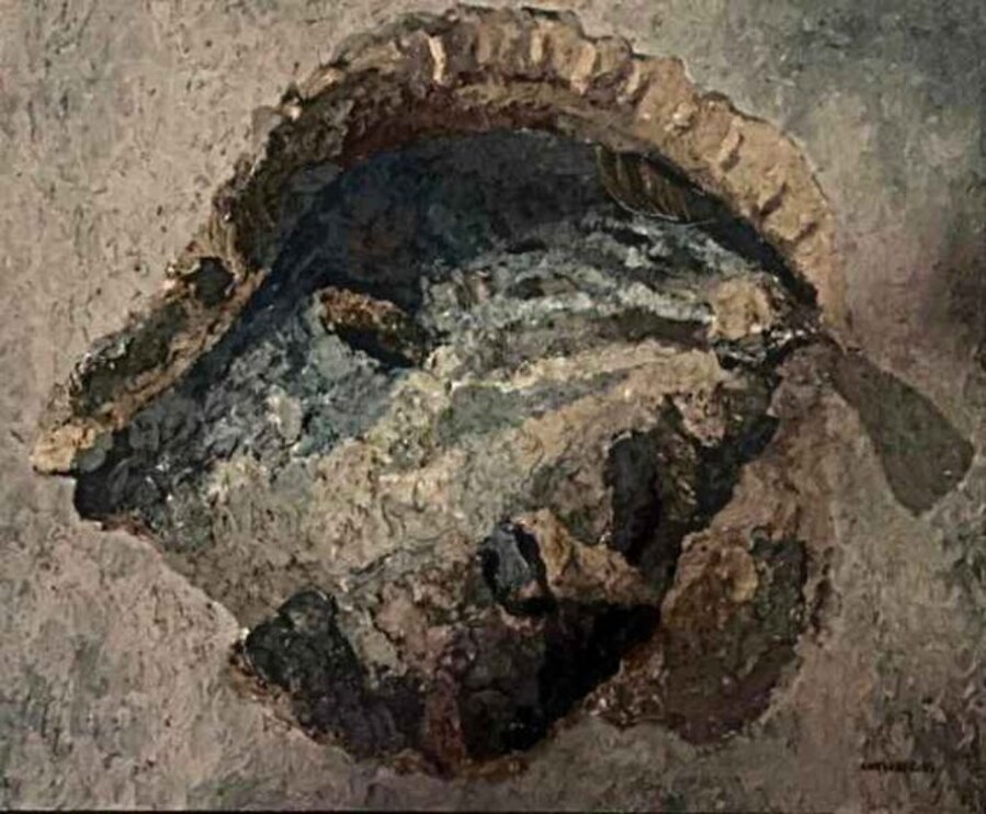 Fossil fish