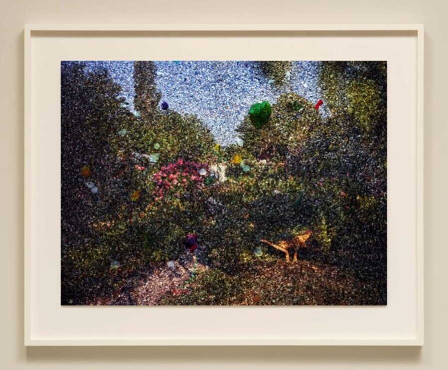 Tent-Camera Image on Ground: View of Monet’s Gardens with Wheelbarrow, Giverny, France