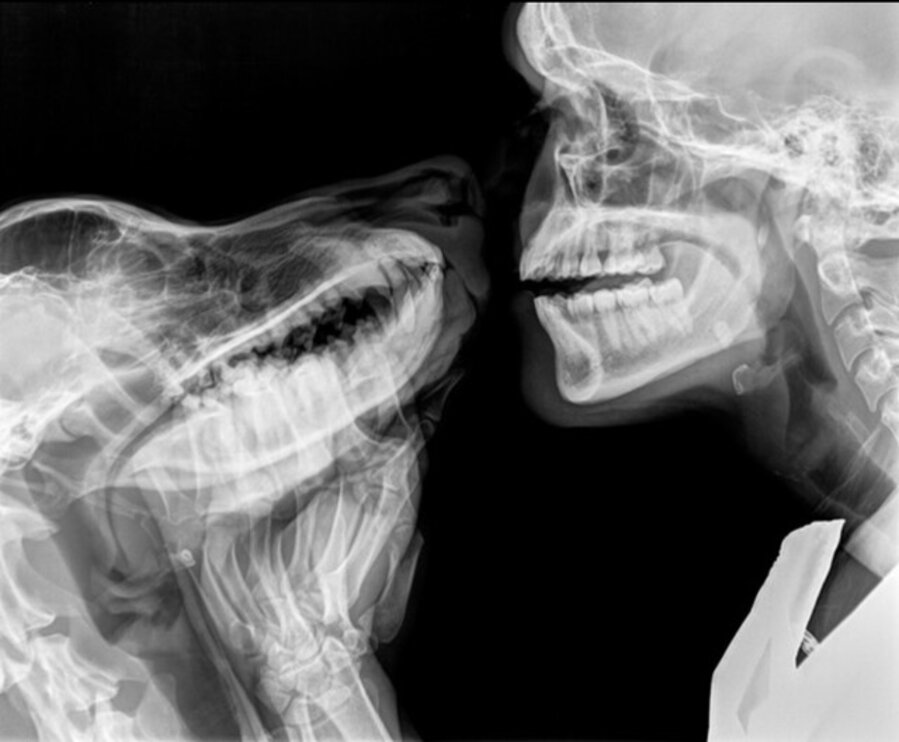 X-ray Dog and Heji VII