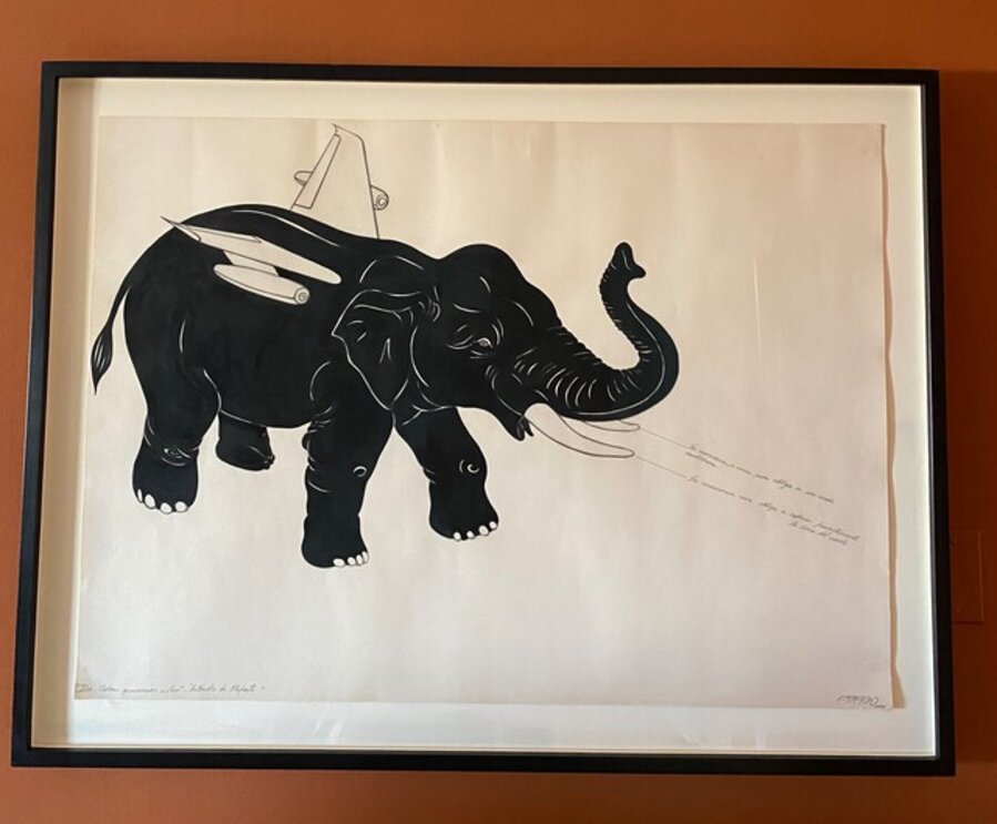 Hibrido de Elefante,