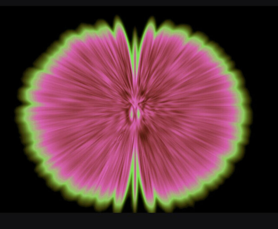 Butterfly Experiments in pink