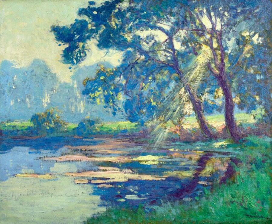 Sunlight thorugh the trees