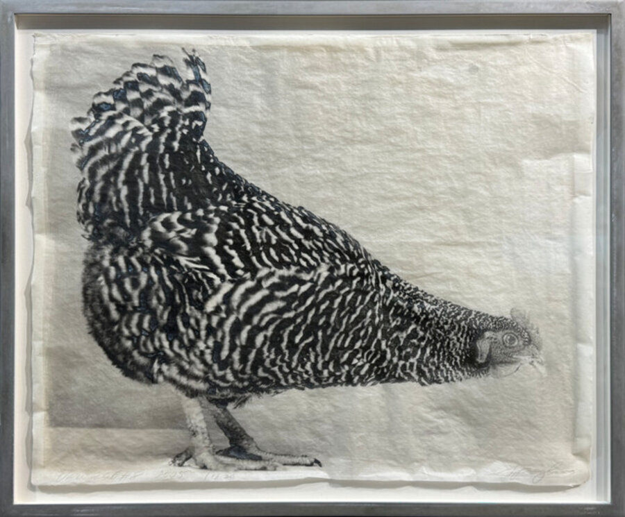 Poultry Suite: Variegated 8