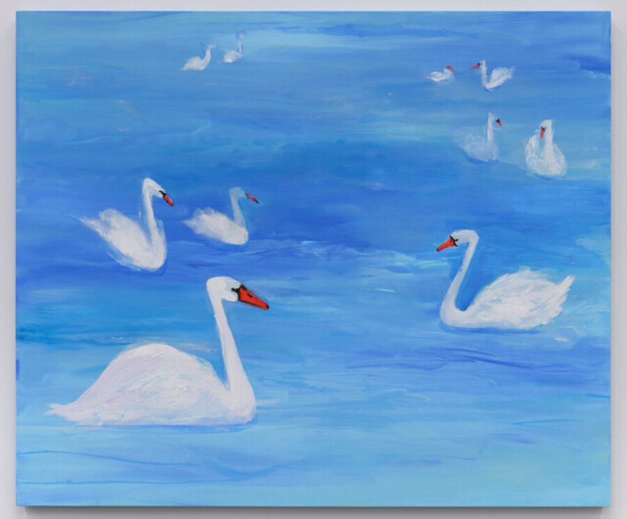 A Bevy of Swans