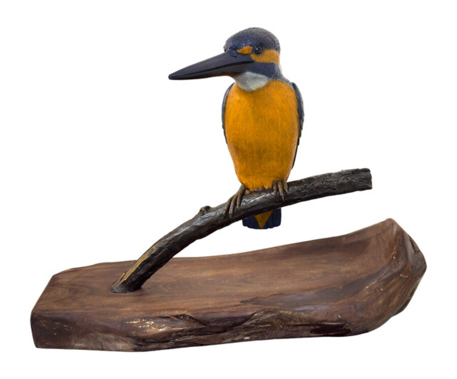 Kingfisher