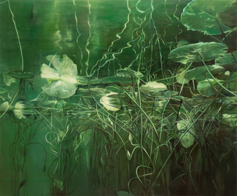 Lilypond (Slipaway)