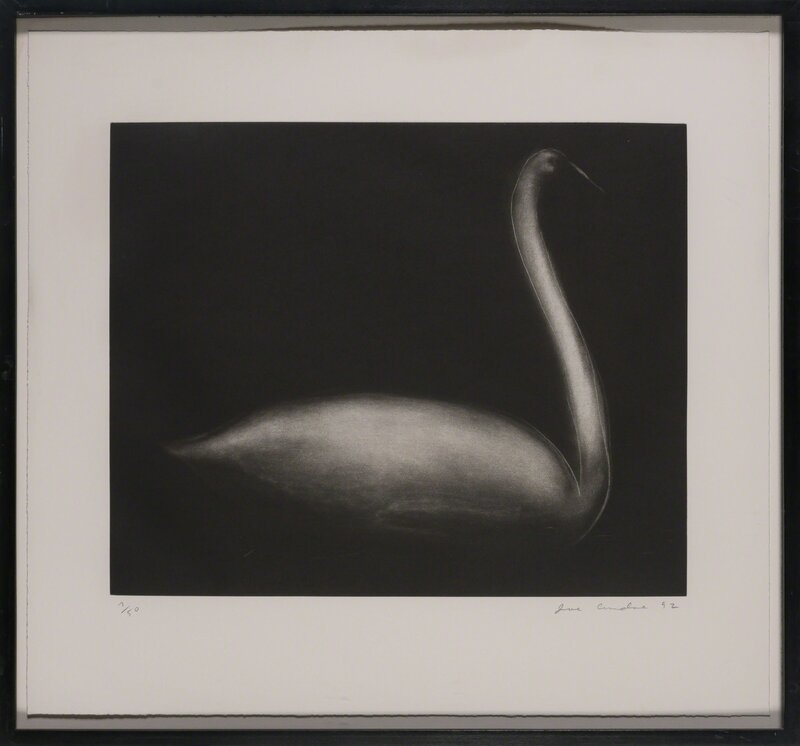 Joe Andoe, ‘HORN; SWAN’, 1992, Print, Aquatints, Doyle