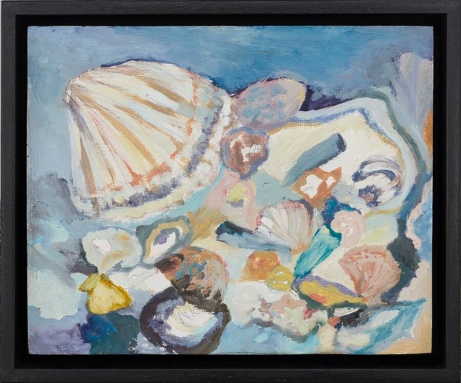 Pakiri Shells