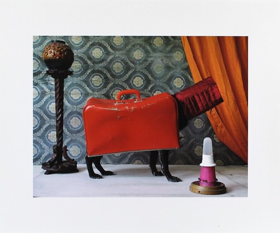 Der klassische Fourleg - Ernie, Portraits of a Studiodog