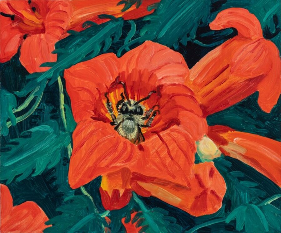Honey Bee