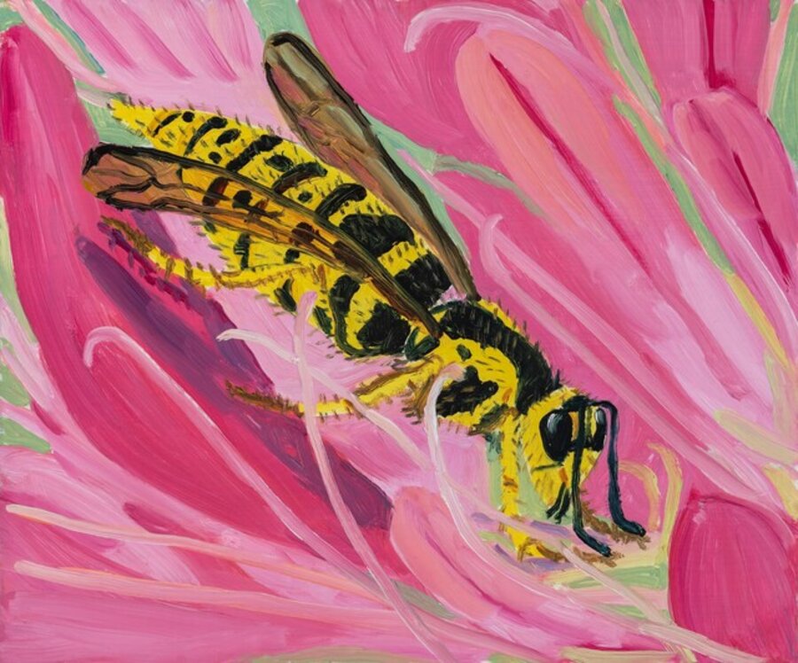 Yellow Jacket