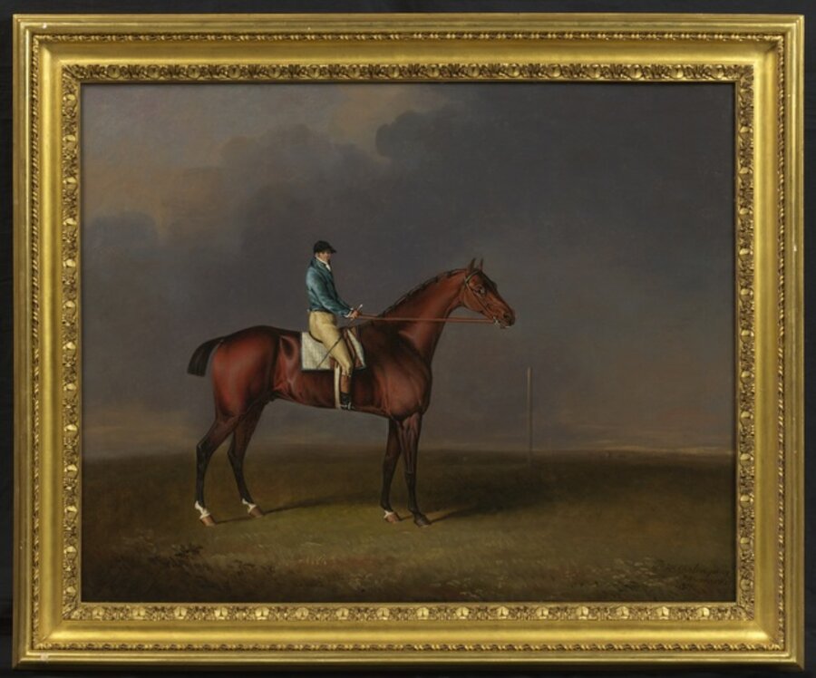 Sir David, a Bay Racehorse owned by H. R. H. The Prince of Wales, with Samuel Chisney up, on Newmarket Heath