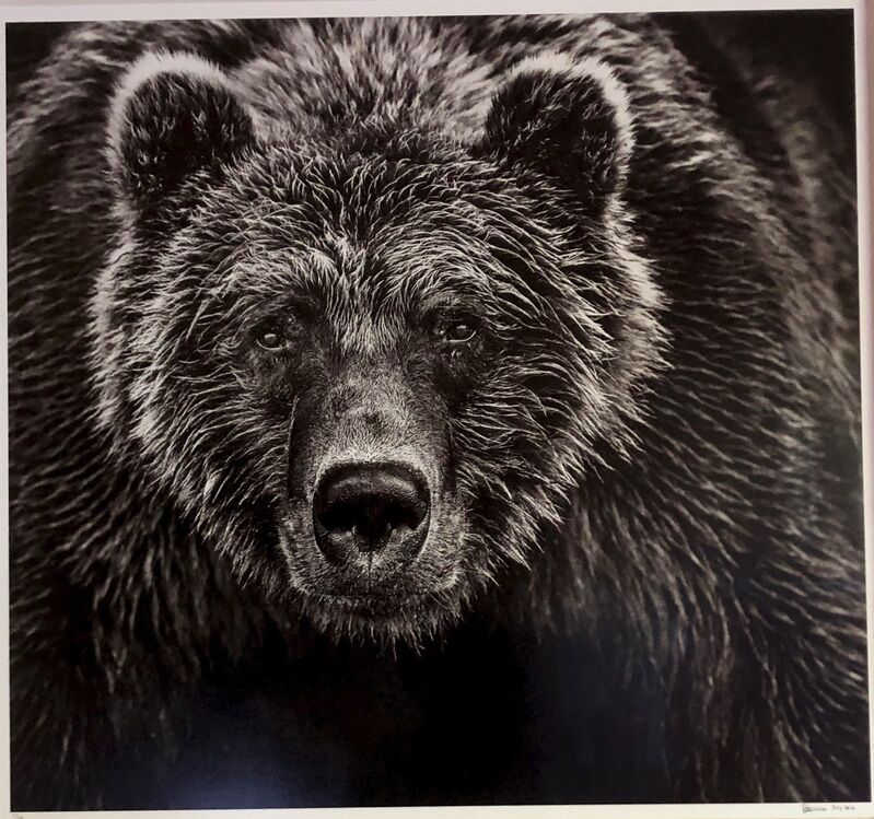David Yarrow, ‘Face Off’, 2016, Photography, Archival Pigment Print on 315gsm Hahnemühle Photo Rag Baryta, ArtLife Gallery