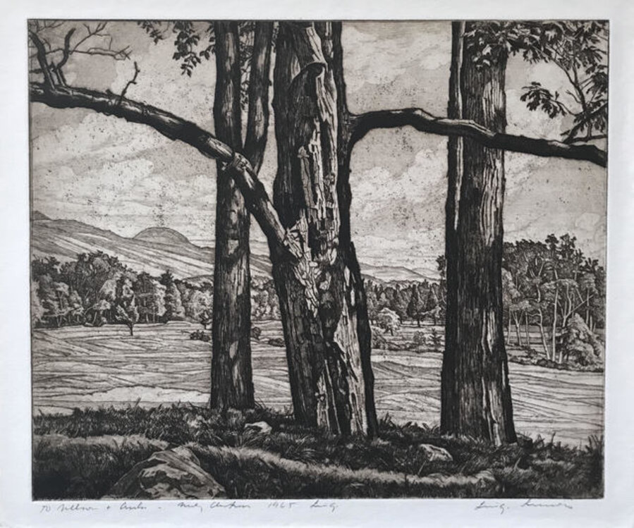 Dominating Trees