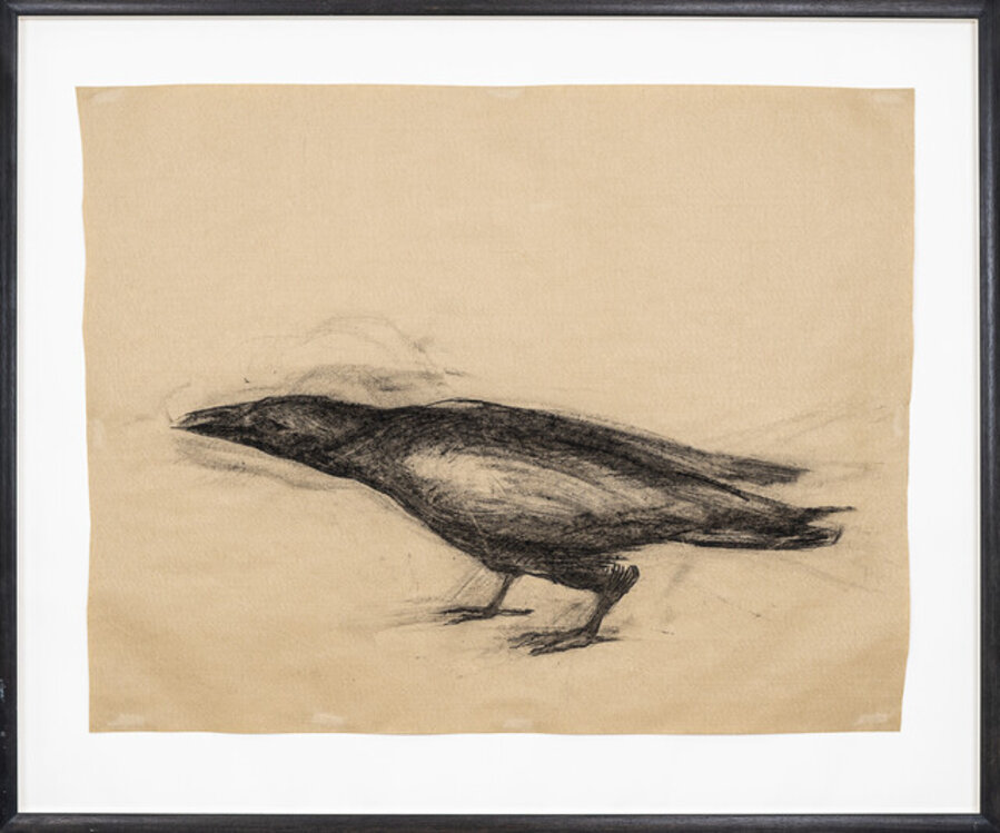 Untitled, Crow 2