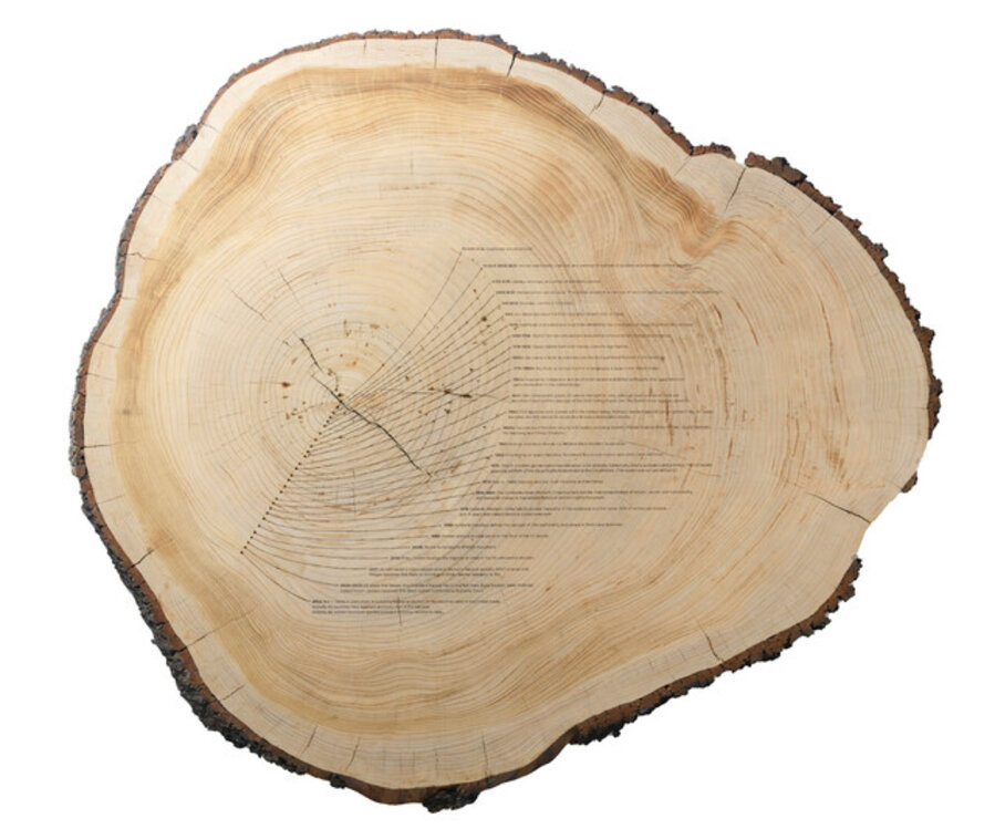 Dendrofemonology (A Feminist History Timeline)
