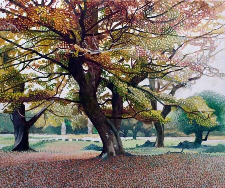 Giant Oak in New Forest