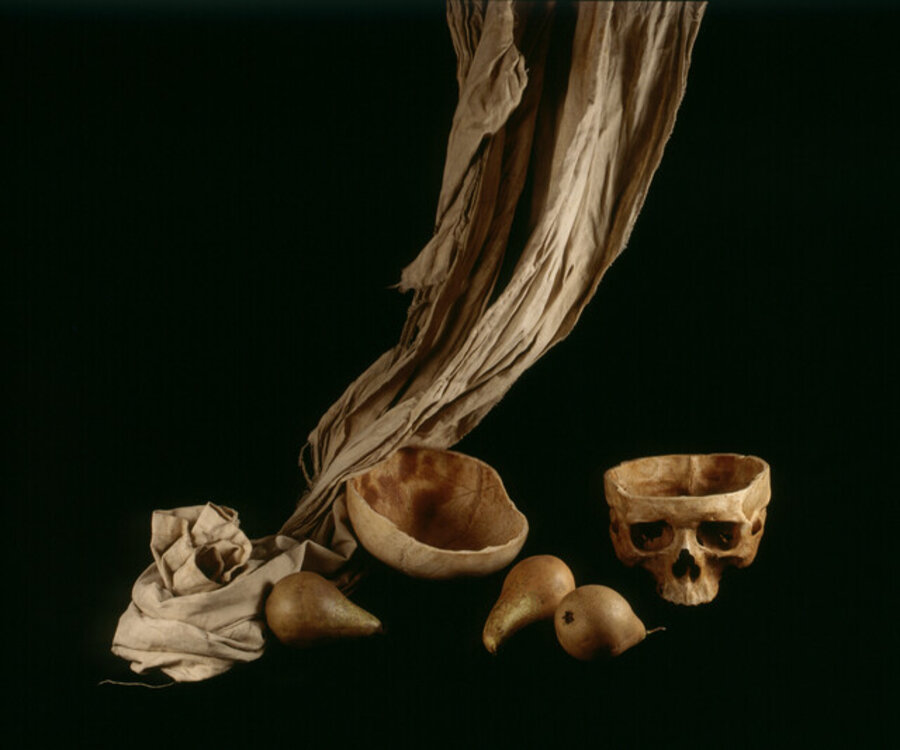 Still Life 14