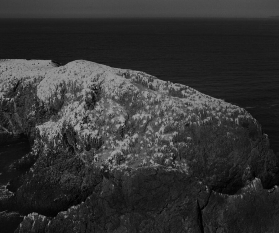 #507-6 (Marin County, CA) 2017