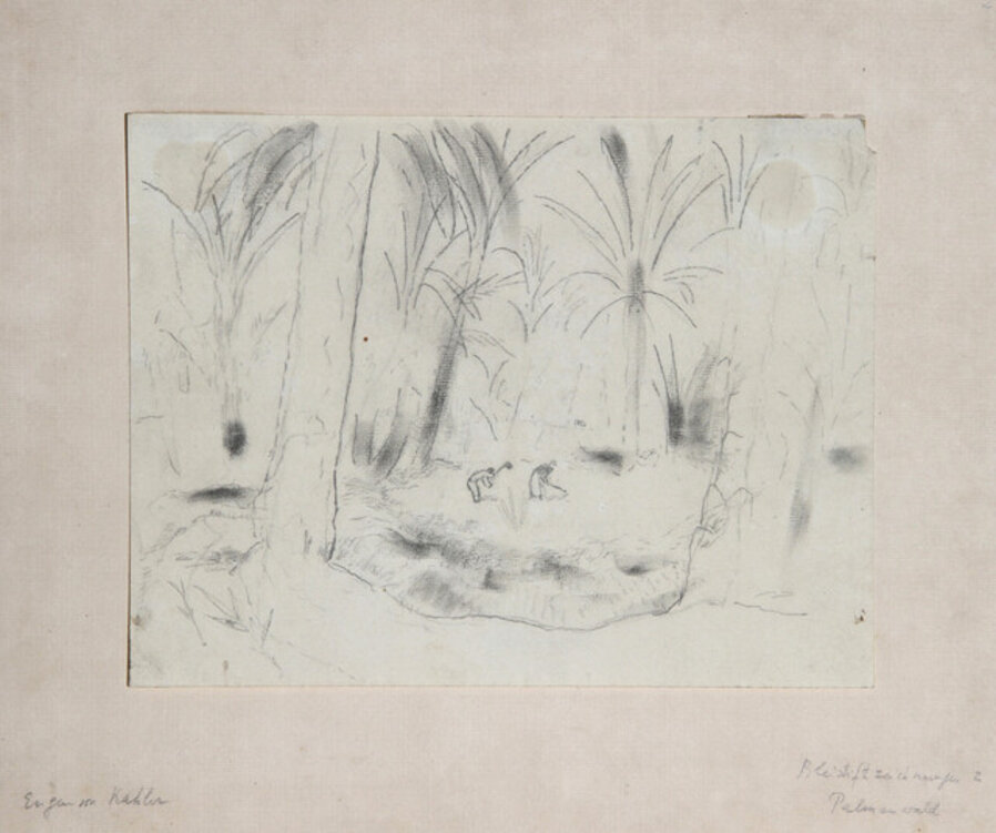 Woods with Palms
