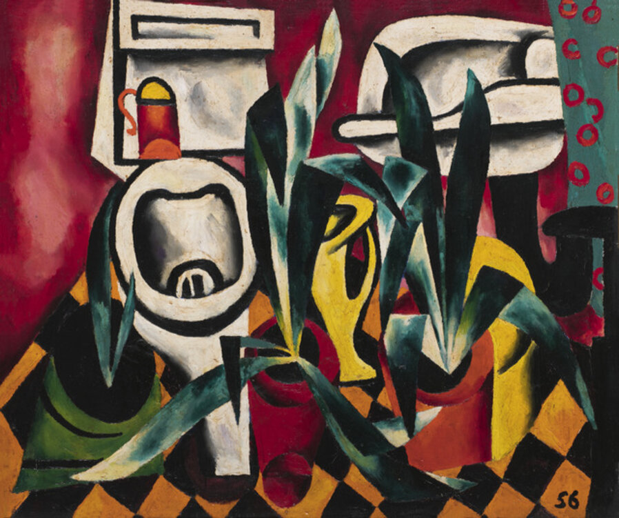 Flush toilet and agaves