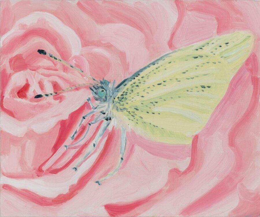 Cabbage White