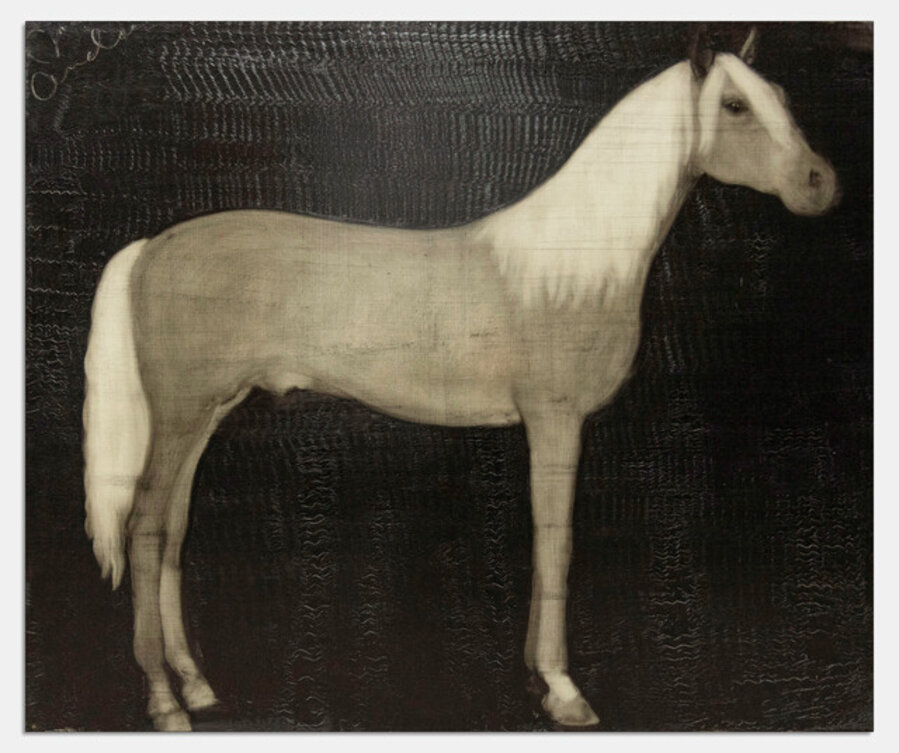 Portrait of a Horse