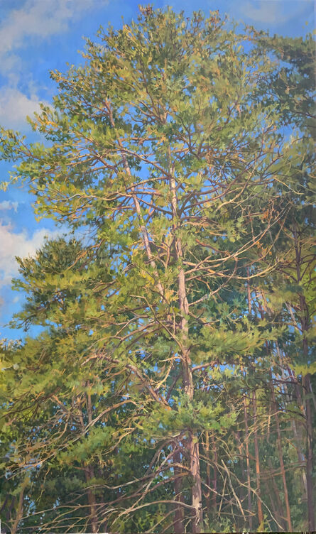 Richard Raiselis, ‘Pale Pine’, 2021
