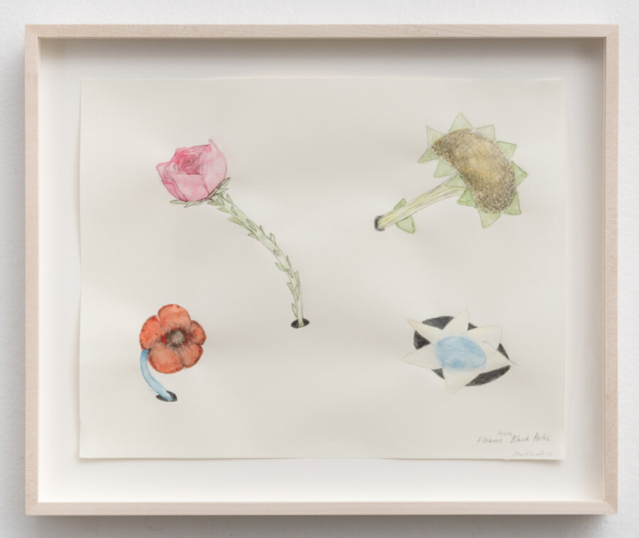 Flowers from Black Holes