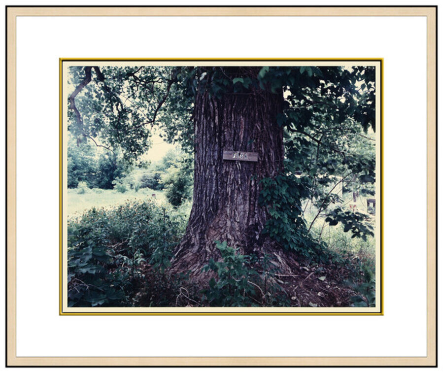 Untitled (Original BI 1)