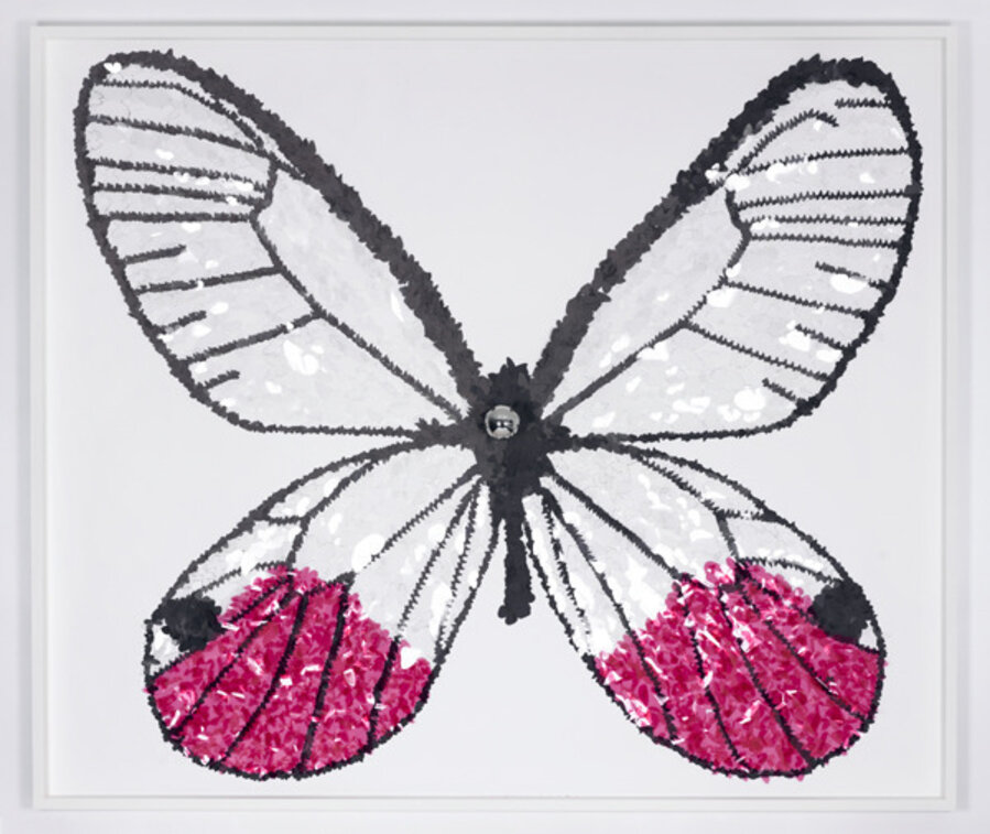Glass Wing