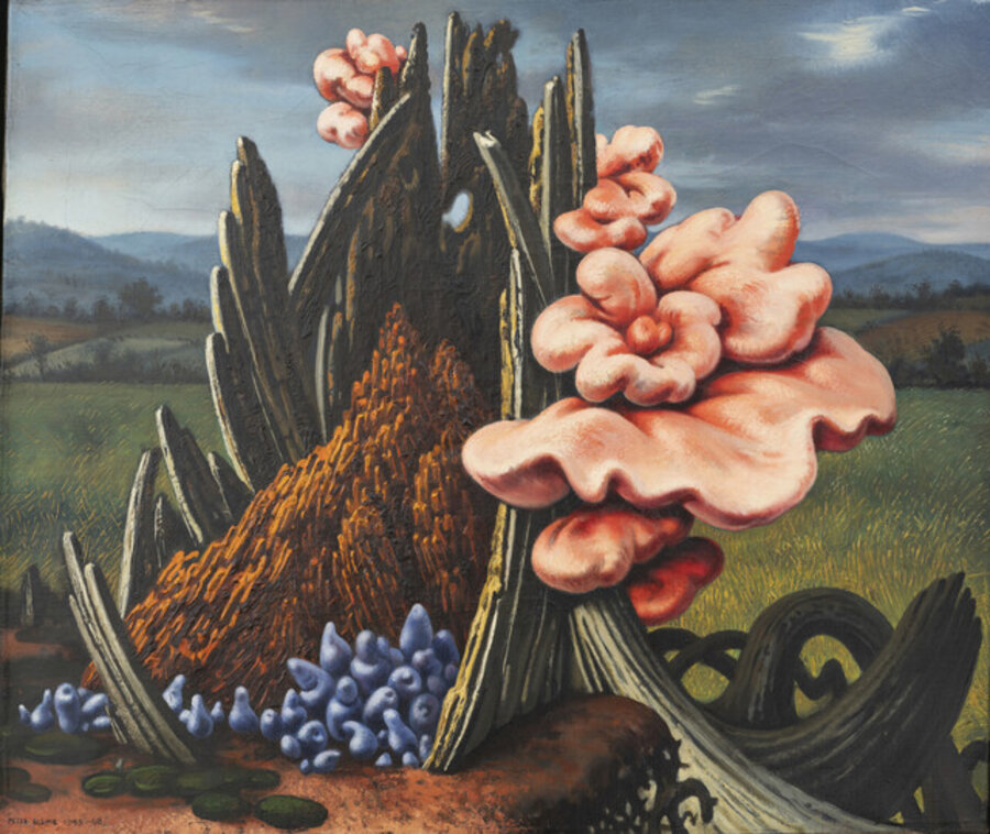Flowering Stump
