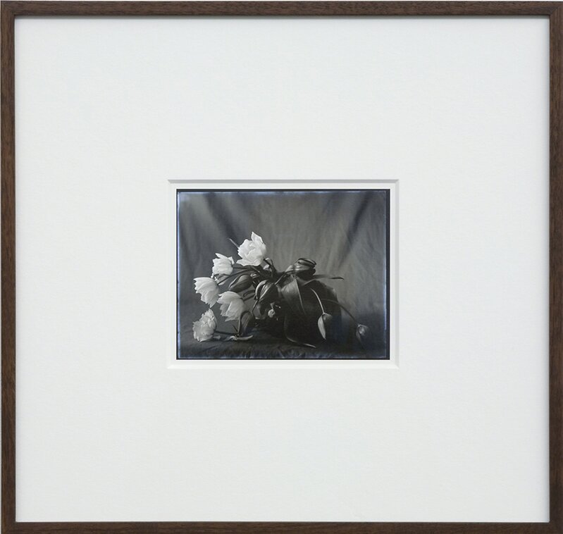 Jodie Carey, ‘Elegy’, 2012, Photography, Digital print from glass plate negative ca.1920, Rolando Anselmi