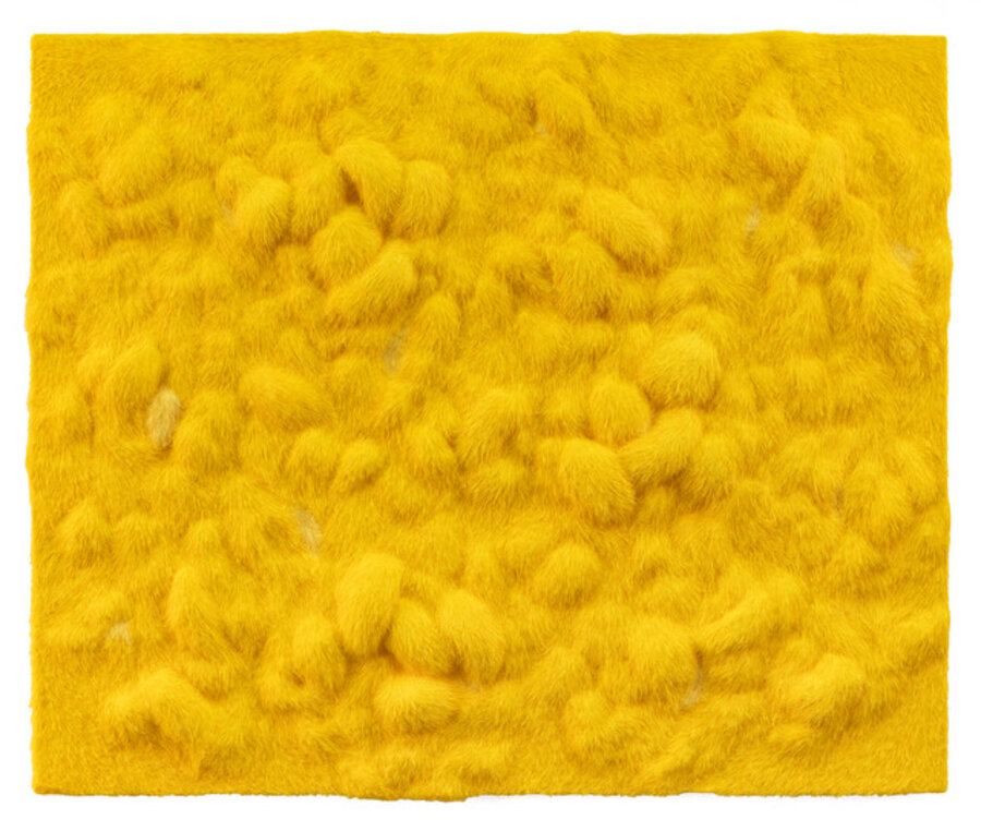 Blended Pelage 23-6