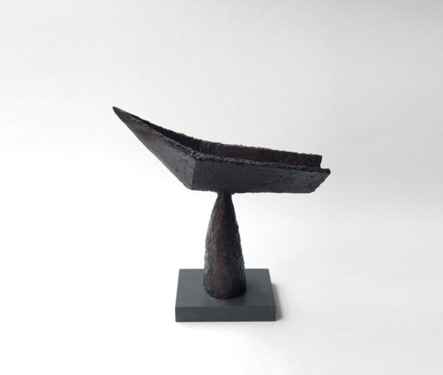 Boat Bird