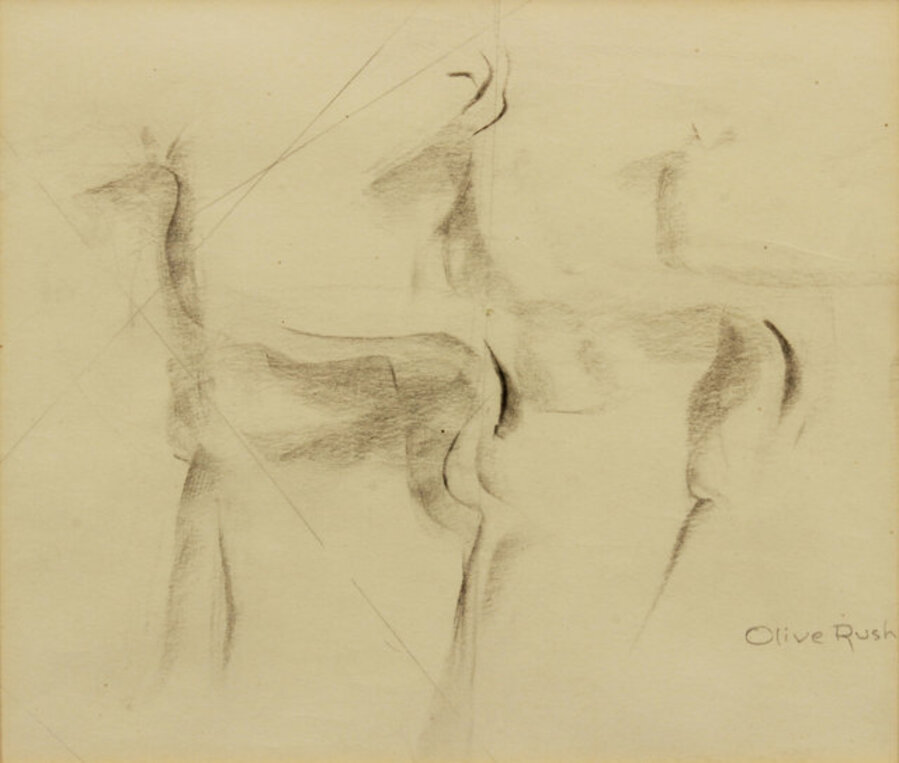 Deer Study