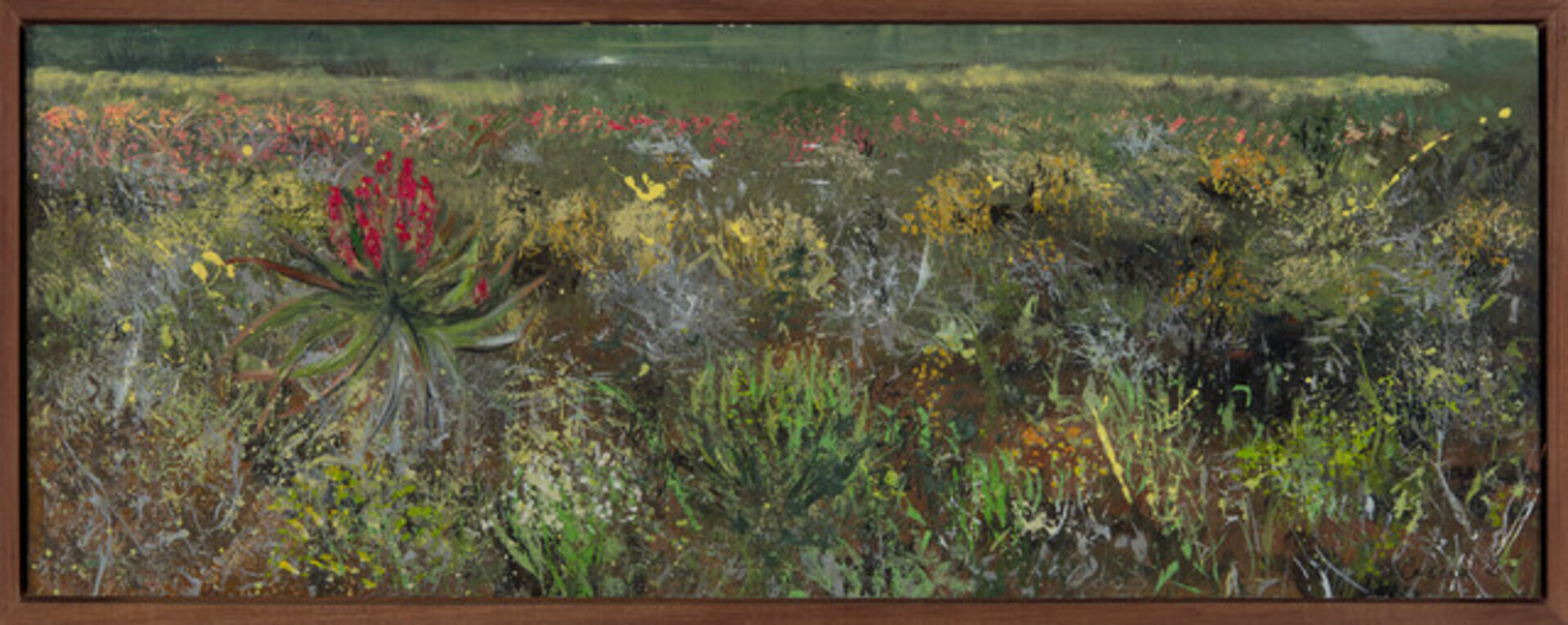 Karoo Veld