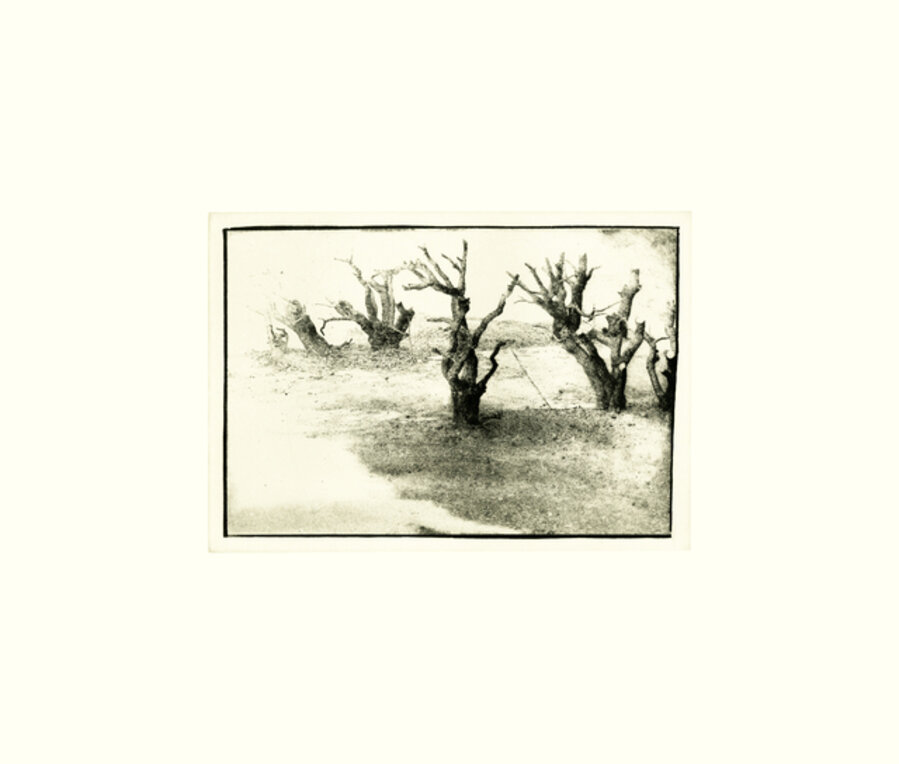 Untitled III
