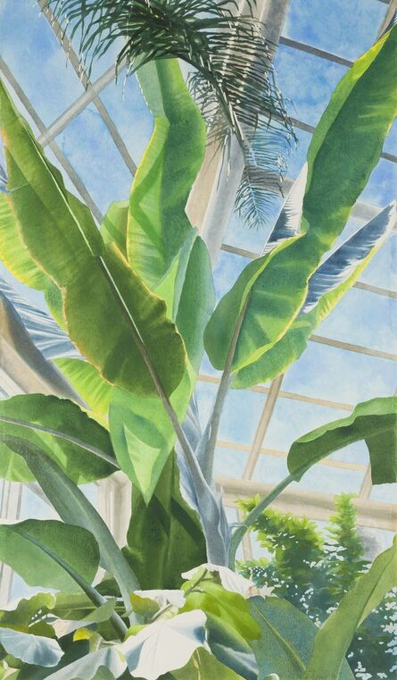 Ben Norris, ‘Brooklyn Botanical Garden No. 1: Greenhouse Interior’, 1991